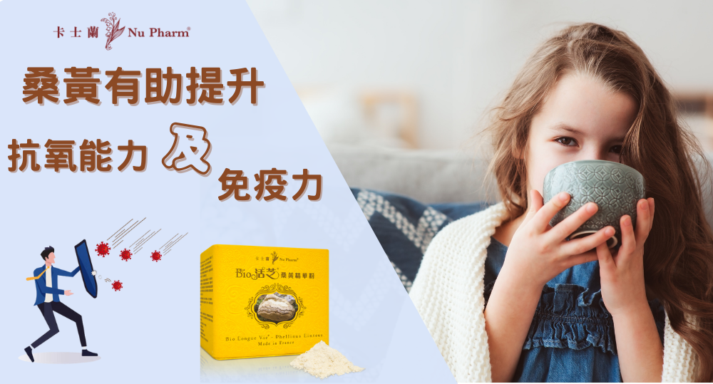 桑黃有助提升抗氧能力及免疫力