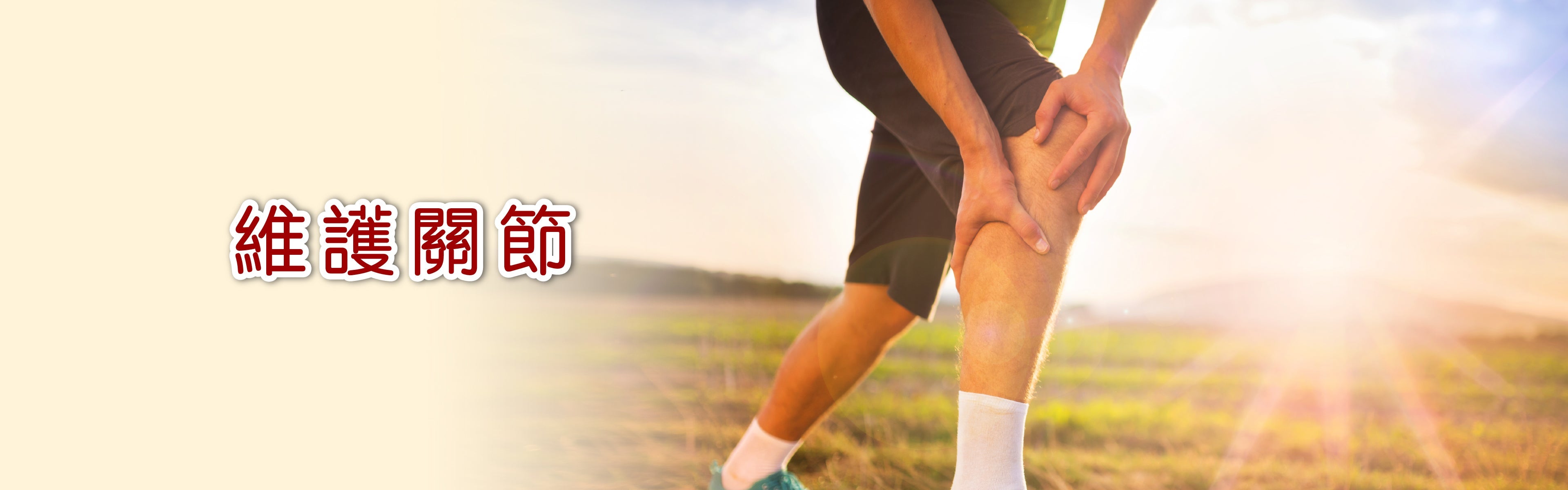 維護關節