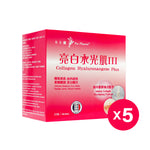 Collagen Hyluronangese (Joint Cartilage Reparing Formula) | 5 packs
