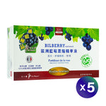 Bilberry Extract | 5 packs