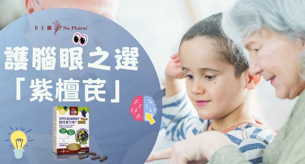 護腦護眼之選: 紫檀芪