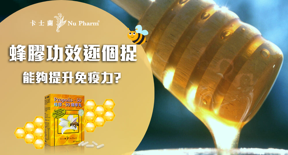 蜂膠功效逐個捉 免疫力全面上升?