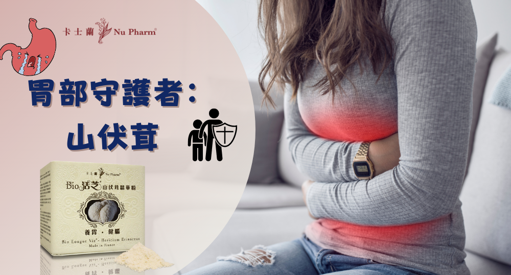 胃部守護者：山伏茸