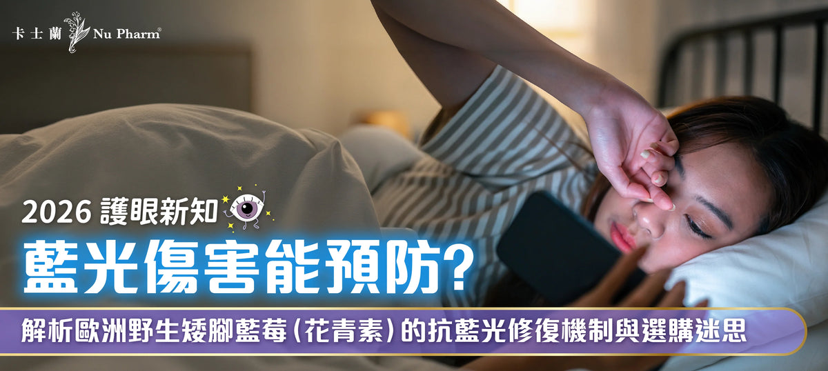【2026 護眼新知】藍光傷害能預防？解析歐洲野生矮腳藍莓（花青素）的抗藍光修復機制與選購迷思